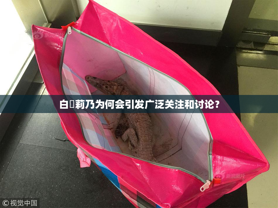 白咲莉乃为何会引发广泛关注和讨论？
