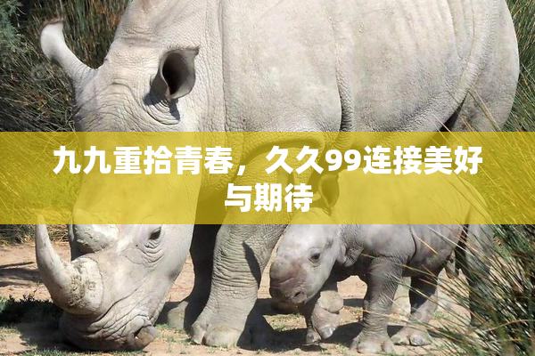 九九重拾青春，久久99连接美好与期待