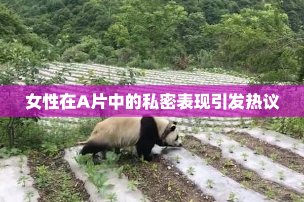 女性在A片中的私密表现引发热议