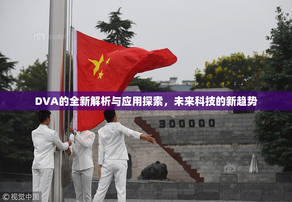 DVA的全新解析与应用探索，未来科技的新趋势
