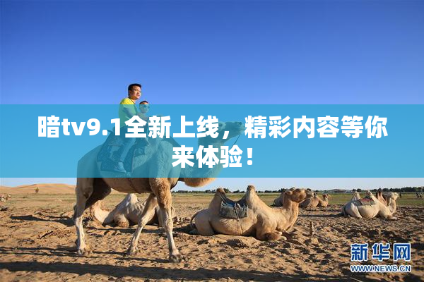 暗tv9.1全新上线，精彩内容等你来体验！