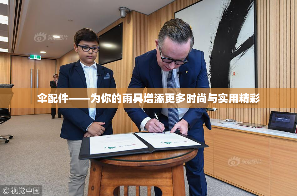 伞配件——为你的雨具增添更多时尚与实用精彩