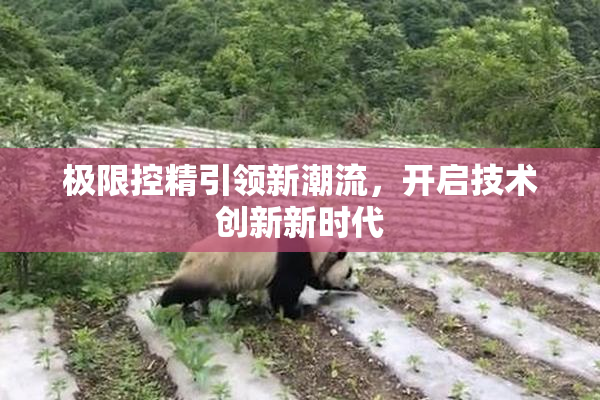 极限控精引领新潮流，开启技术创新新时代