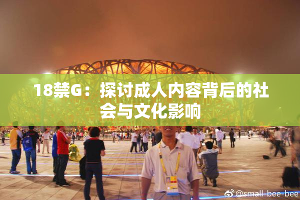18禁G：探讨成人内容背后的社会与文化影响