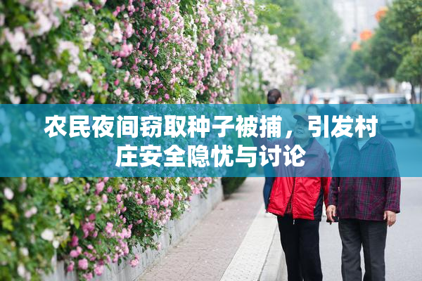 农民夜间窃取种子被捕，引发村庄安全隐忧与讨论