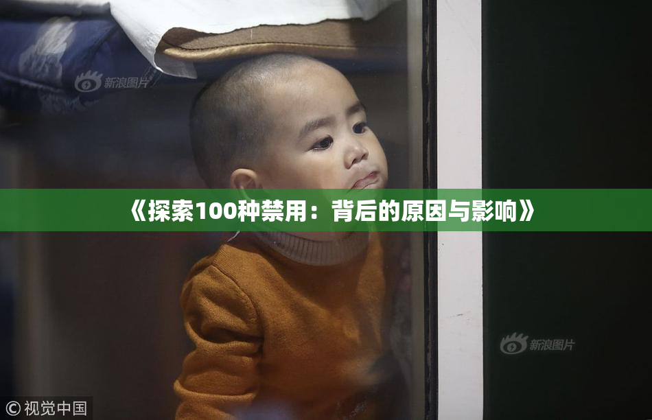 《探索100种禁用：背后的原因与影响》