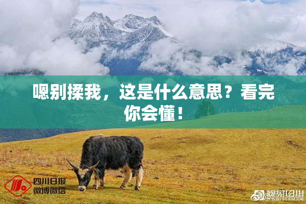 嗯别揉我，这是什么意思？看完你会懂！