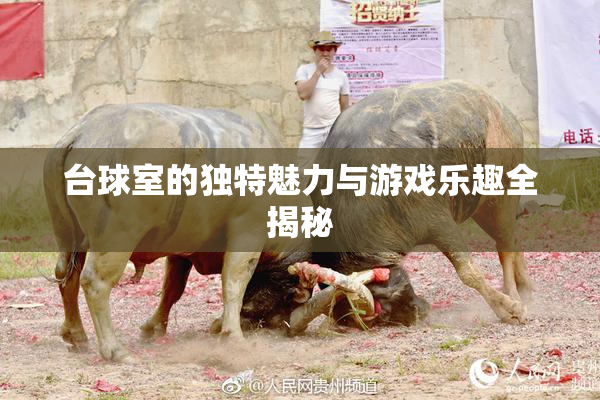 台球室的独特魅力与游戏乐趣全揭秘