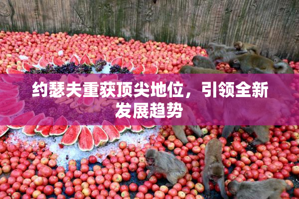 约瑟夫重获顶尖地位，引领全新发展趋势