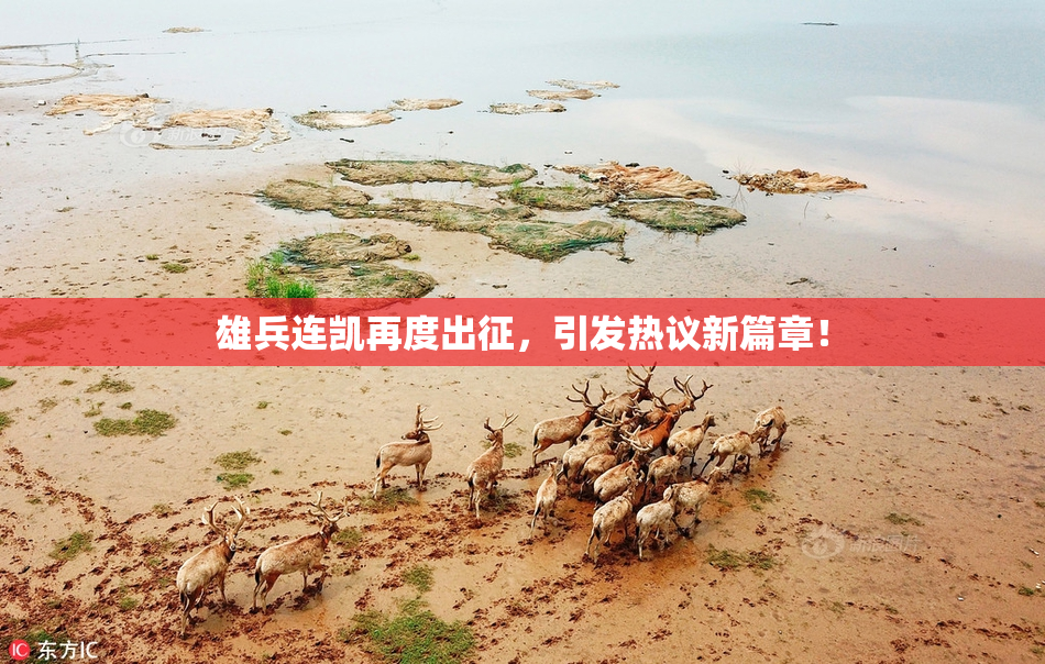 雄兵连凯再度出征，引发热议新篇章！