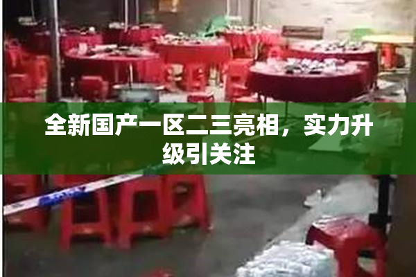 全新国产一区二三亮相，实力升级引关注