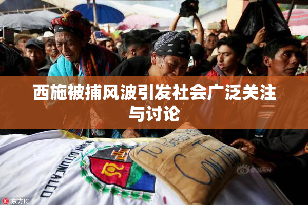 西施被捕风波引发社会广泛关注与讨论