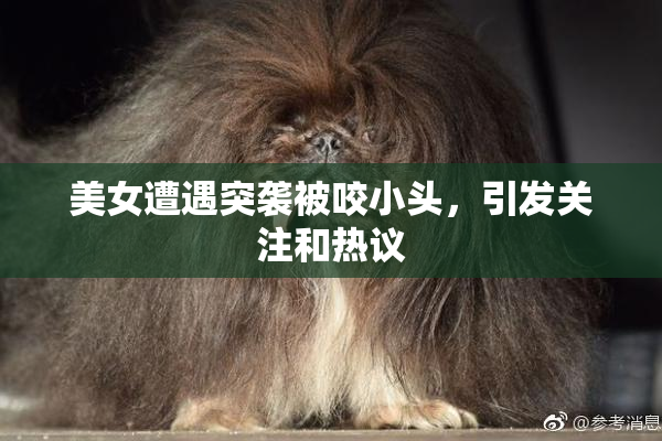 美女遭遇突袭被咬小头，引发关注和热议