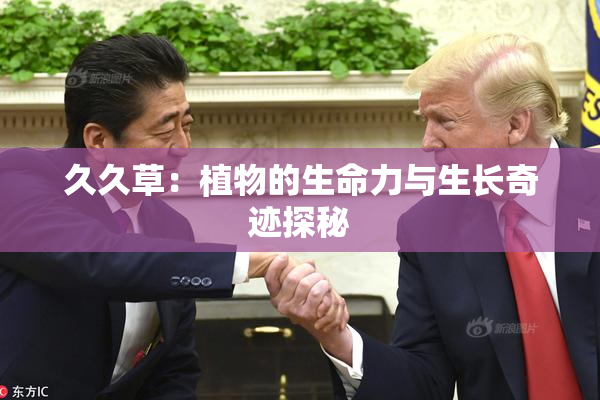 久久草：植物的生命力与生长奇迹探秘
