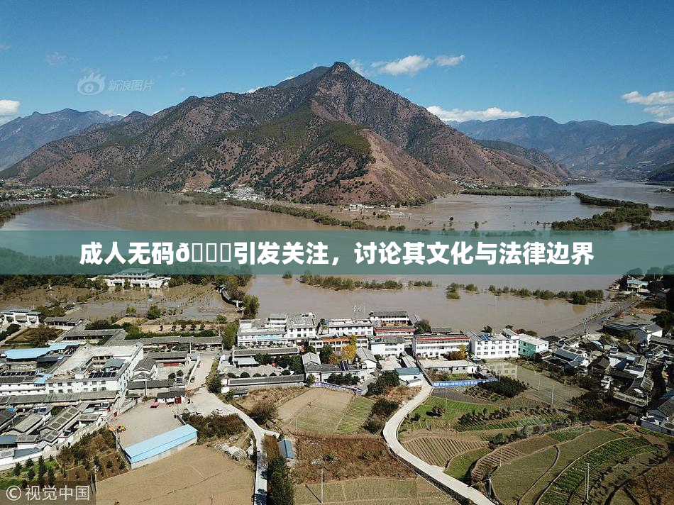 成人无码🔞引发关注，讨论其文化与法律边界