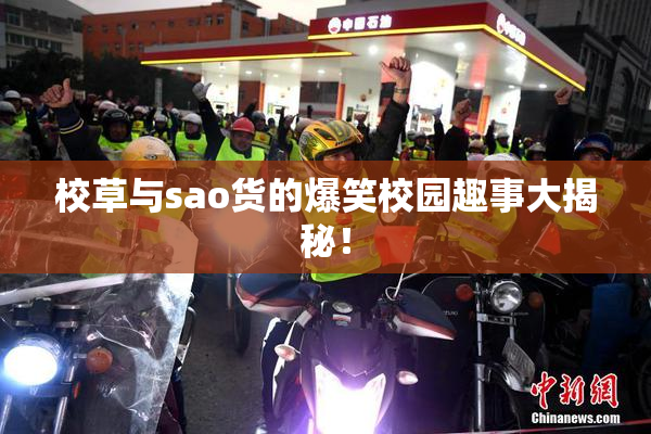 校草与sao货的爆笑校园趣事大揭秘！