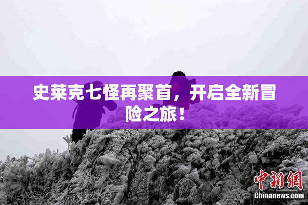 史莱克七怪再聚首，开启全新冒险之旅！