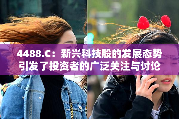 4488.C：新兴科技股的发展态势引发了投资者的广泛关注与讨论。
