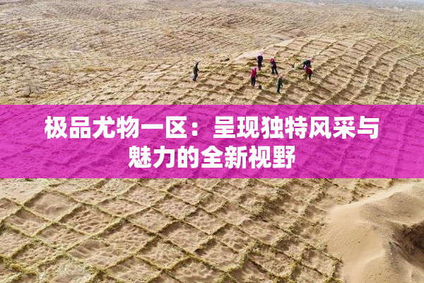 极品尤物一区：呈现独特风采与魅力的全新视野