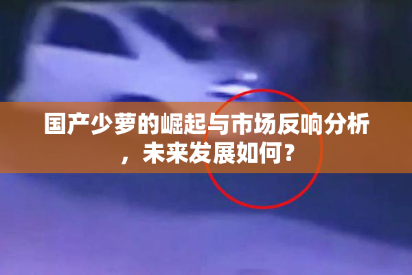 国产少萝的崛起与市场反响分析，未来发展如何？