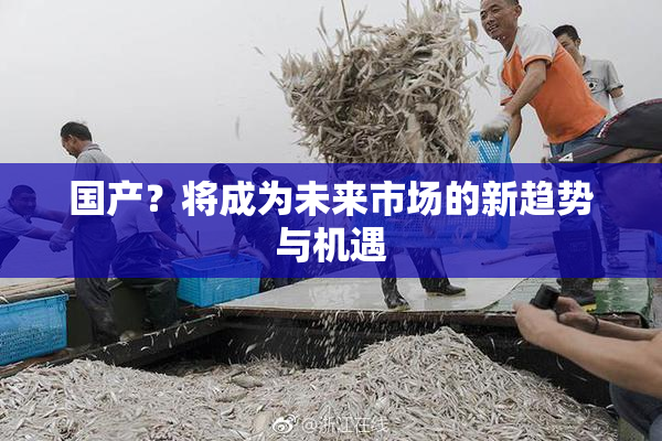 国产？将成为未来市场的新趋势与机遇