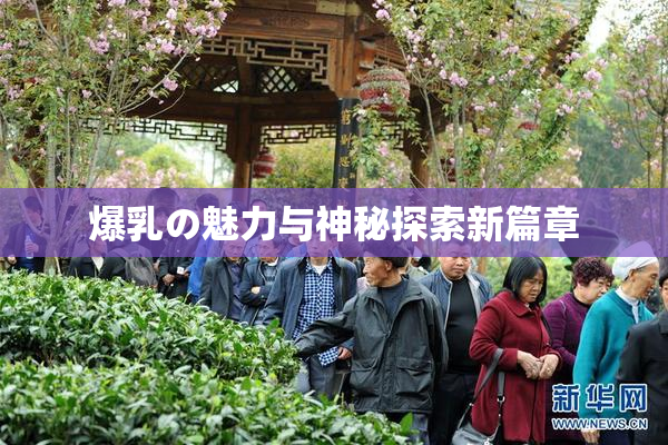 爆乳の魅力与神秘探索新篇章