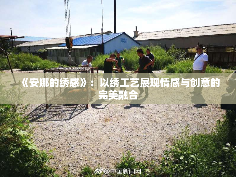《安娜的绣感》：以绣工艺展现情感与创意的完美融合