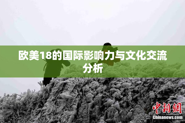 欧美18的国际影响力与文化交流分析