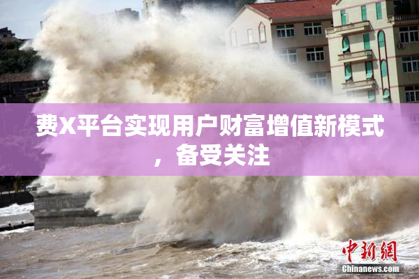 费X平台实现用户财富增值新模式，备受关注
