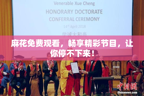 麻花免费观看，畅享精彩节目，让你停不下来！