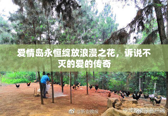 爱情岛永恒绽放浪漫之花，诉说不灭的爱的传奇