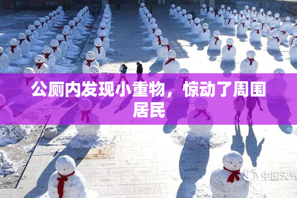 公厕内发现小重物，惊动了周围居民