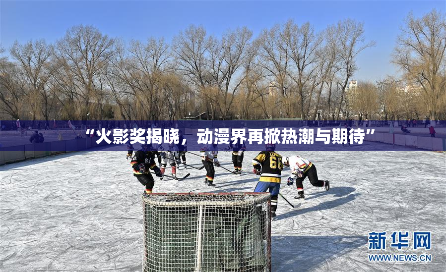 “火影奖揭晓，动漫界再掀热潮与期待”