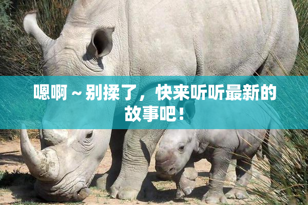嗯啊～别揉了，快来听听最新的故事吧！