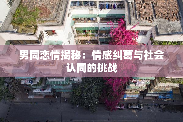 男同恋情揭秘：情感纠葛与社会认同的挑战