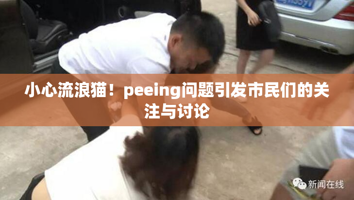 小心流浪猫！peeing问题引发市民们的关注与讨论