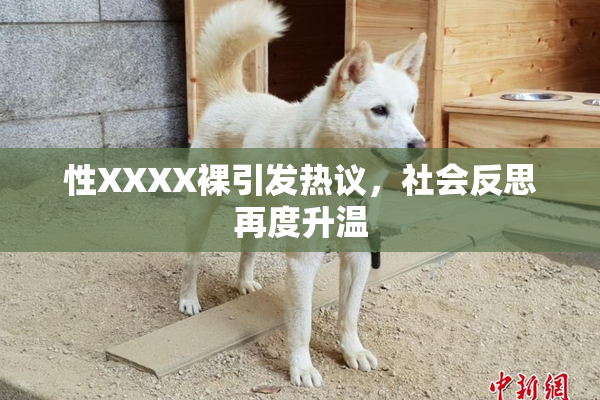 性XXXX裸引发热议，社会反思再度升温