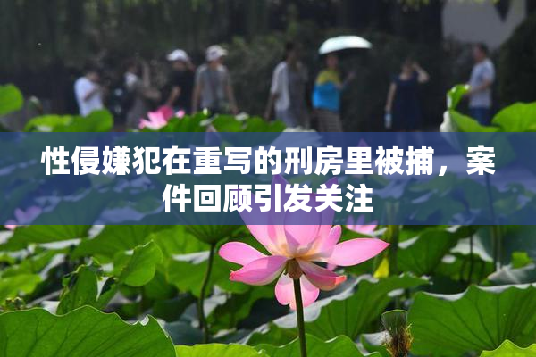 性侵嫌犯在重写的刑房里被捕，案件回顾引发关注