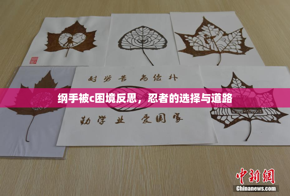 纲手被c困境反思，忍者的选择与道路