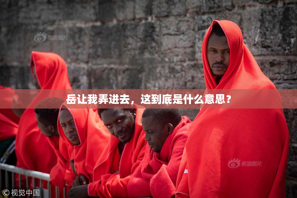 岳让我弄进去，这到底是什么意思？