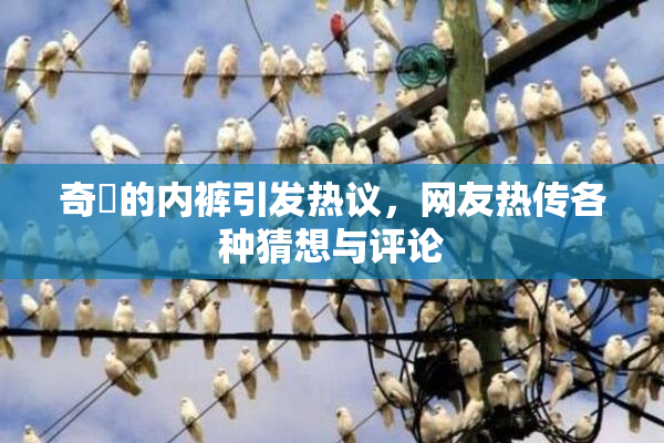 奇犽的内裤引发热议，网友热传各种猜想与评论