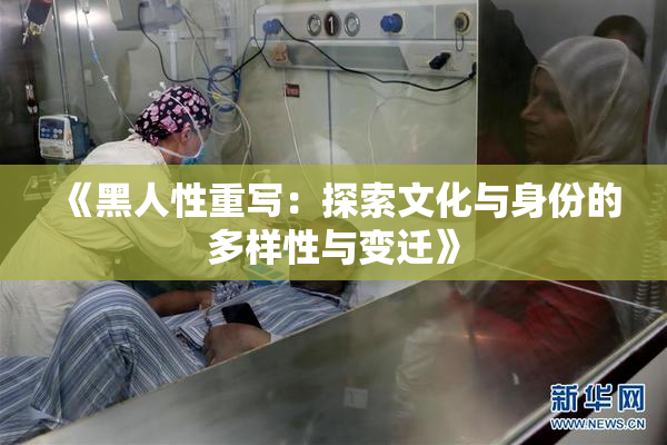 《黑人性重写：探索文化与身份的多样性与变迁》
