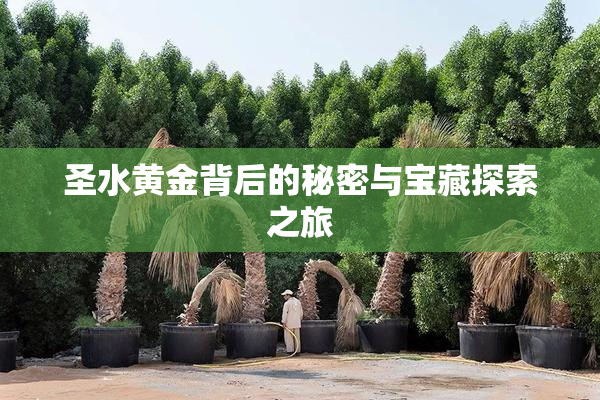 圣水黄金背后的秘密与宝藏探索之旅