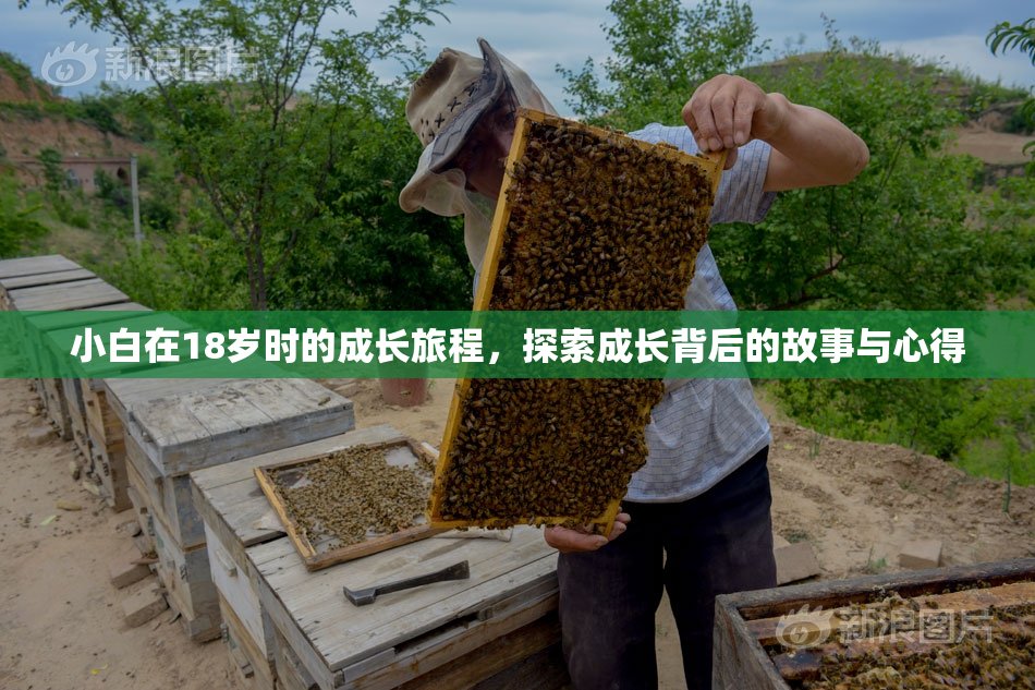 小白在18岁时的成长旅程，探索成长背后的故事与心得