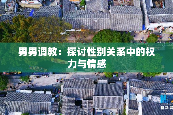 男男调教：探讨性别关系中的权力与情感