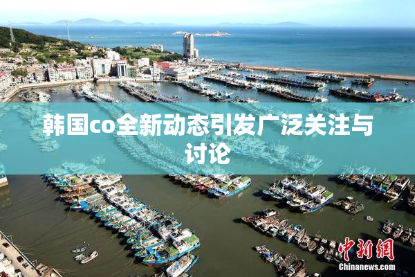 韩国co全新动态引发广泛关注与讨论