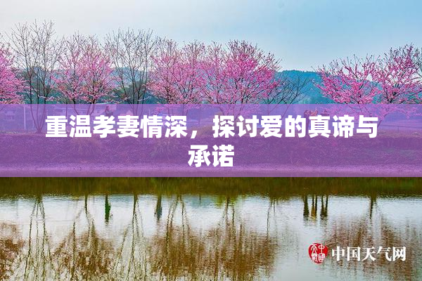 重温孝妻情深，探讨爱的真谛与承诺