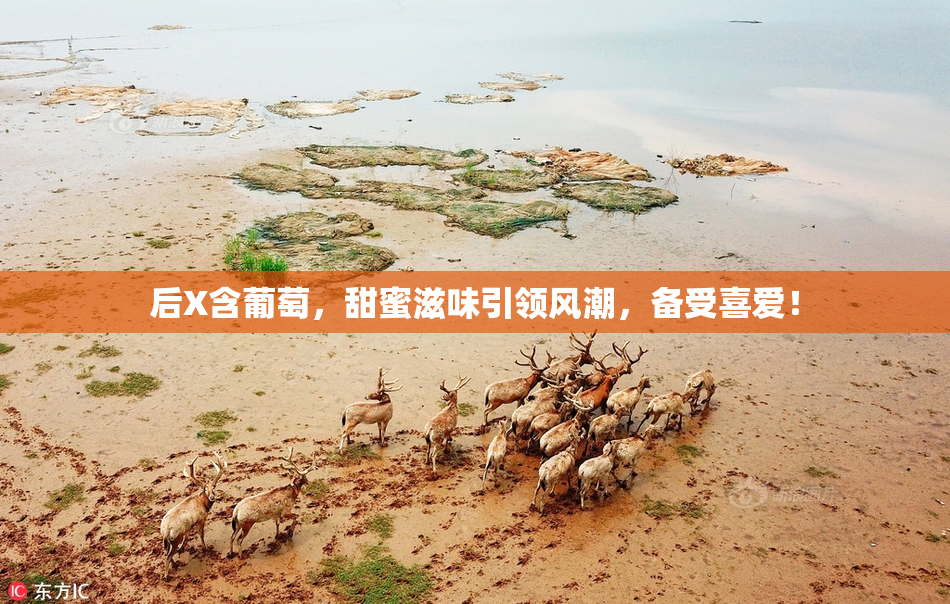 后X含葡萄，甜蜜滋味引领风潮，备受喜爱！