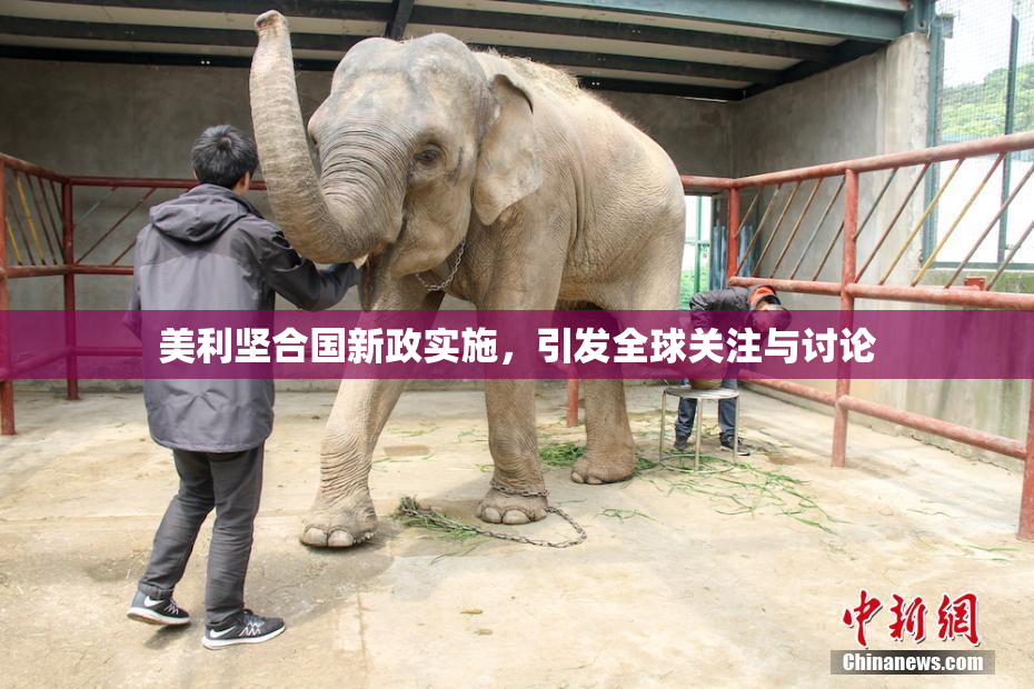 美利坚合国新政实施，引发全球关注与讨论