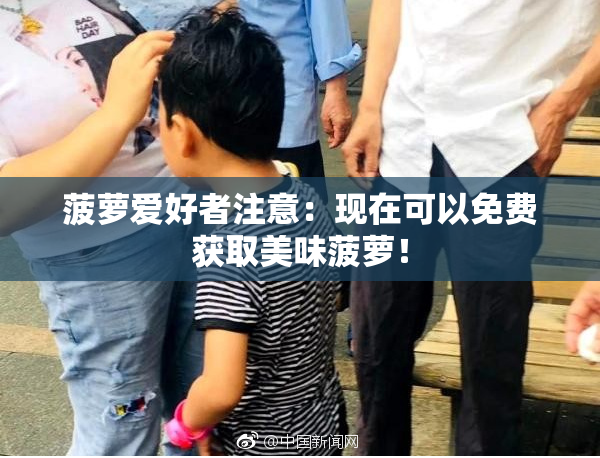 菠萝爱好者注意：现在可以免费获取美味菠萝！